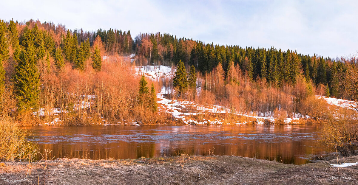 10 мая, холодный вечер на берегу реки Ухта. Тайга окрашена красноватыми лучами заходящего солнца - Николай Зиновьев