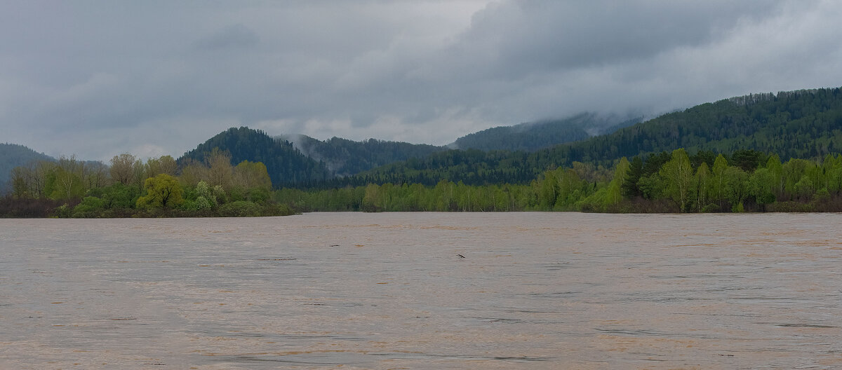 Большая вода, п. Камешек р. Томь. - Евгений Голубев