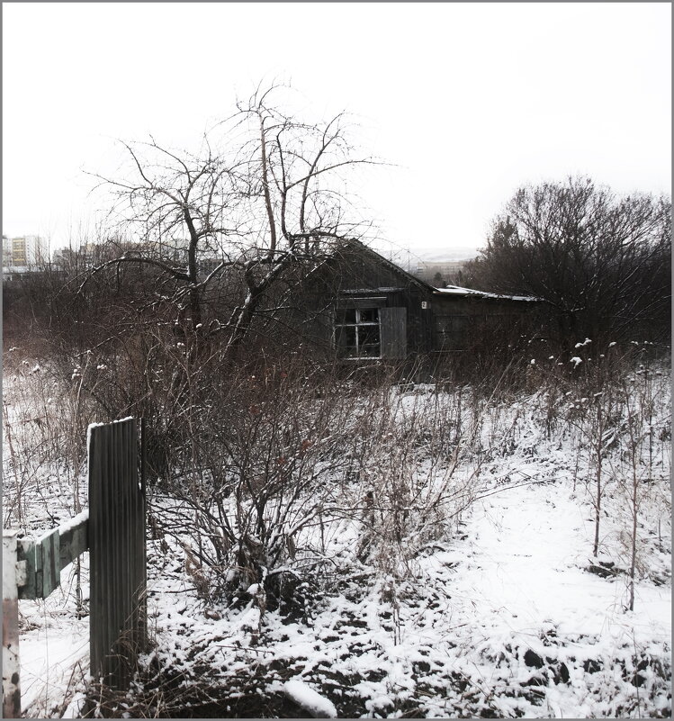 Старые сады - Алексей Хвастунов Старые сады - Алексей Хвастунов