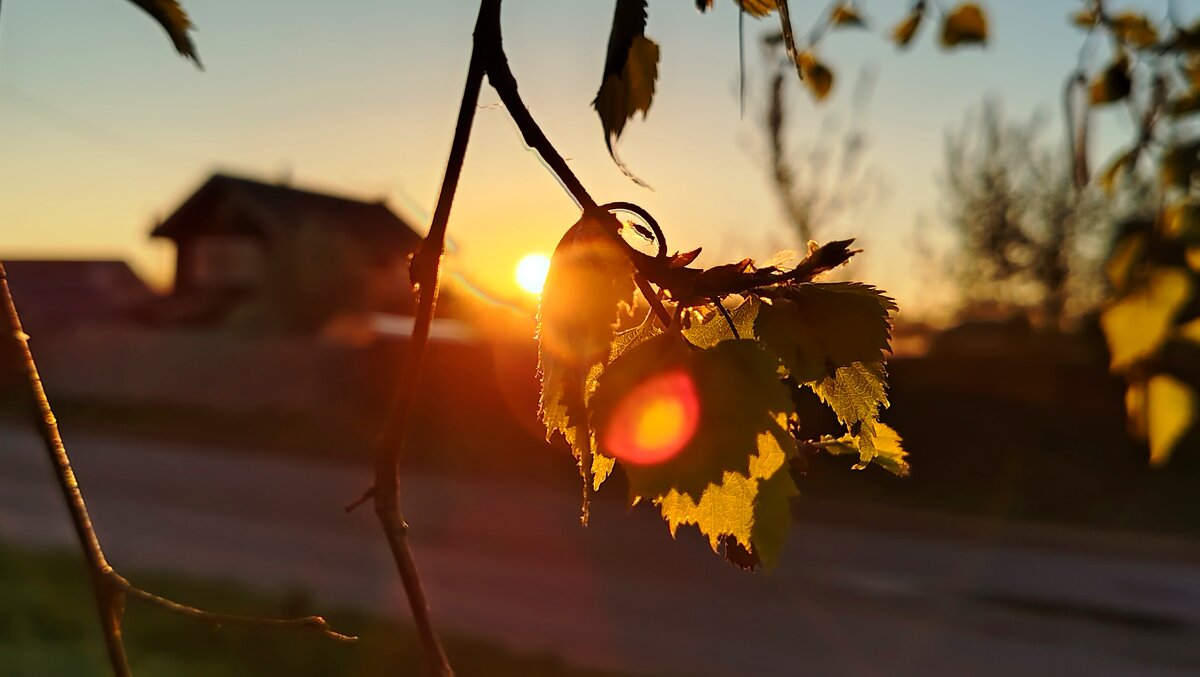 майский закат - светлана льдокова майский закат - светлана льдокова