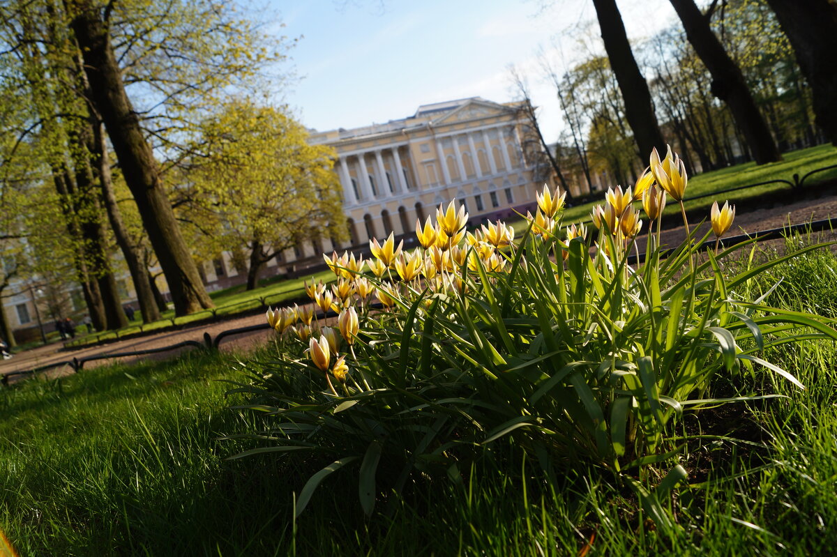 Весна в большом городе! - Anna-Sabina Anna-Sabina Весна в большом городе! - Anna-Sabina Anna-Sabina