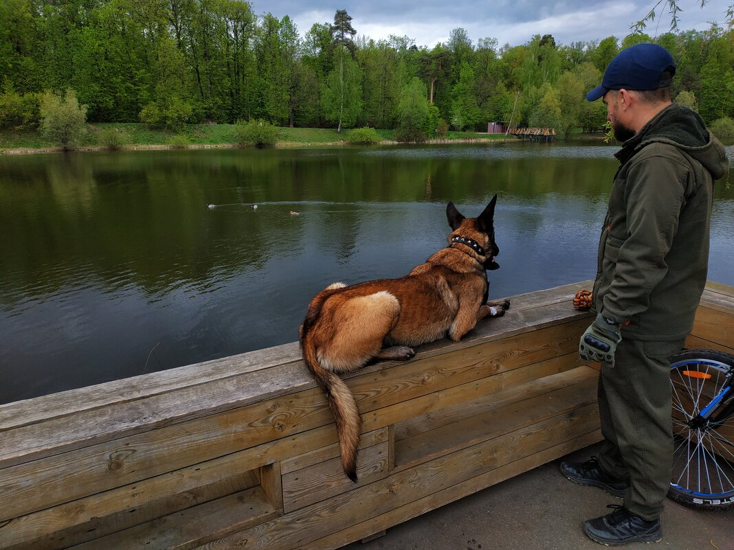 В ожидании команды - Андрей Лукьянов