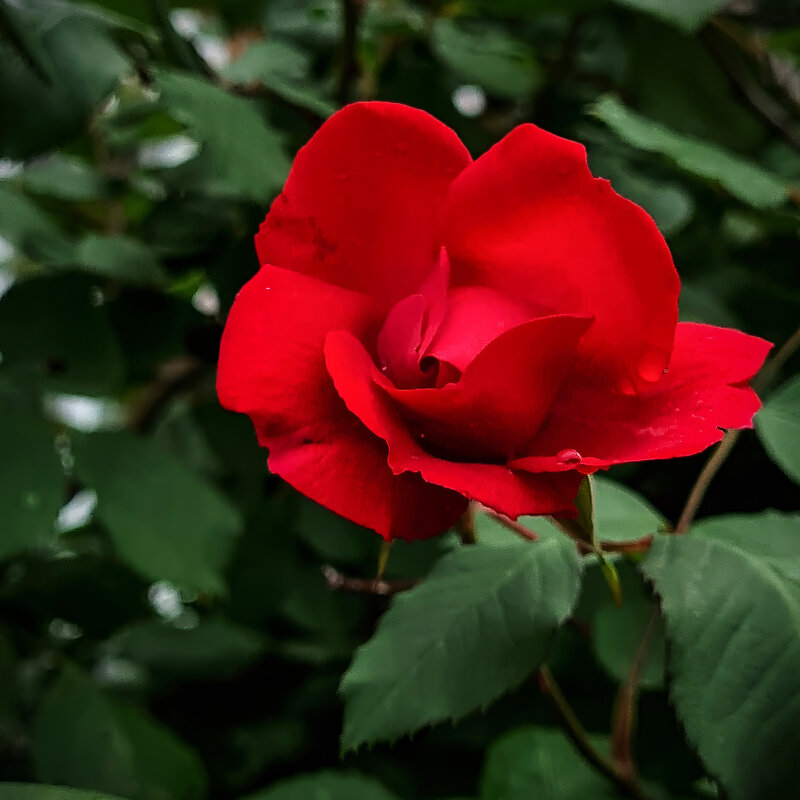 ... - Валерий Ткаченко ... - Валерий Ткаченко