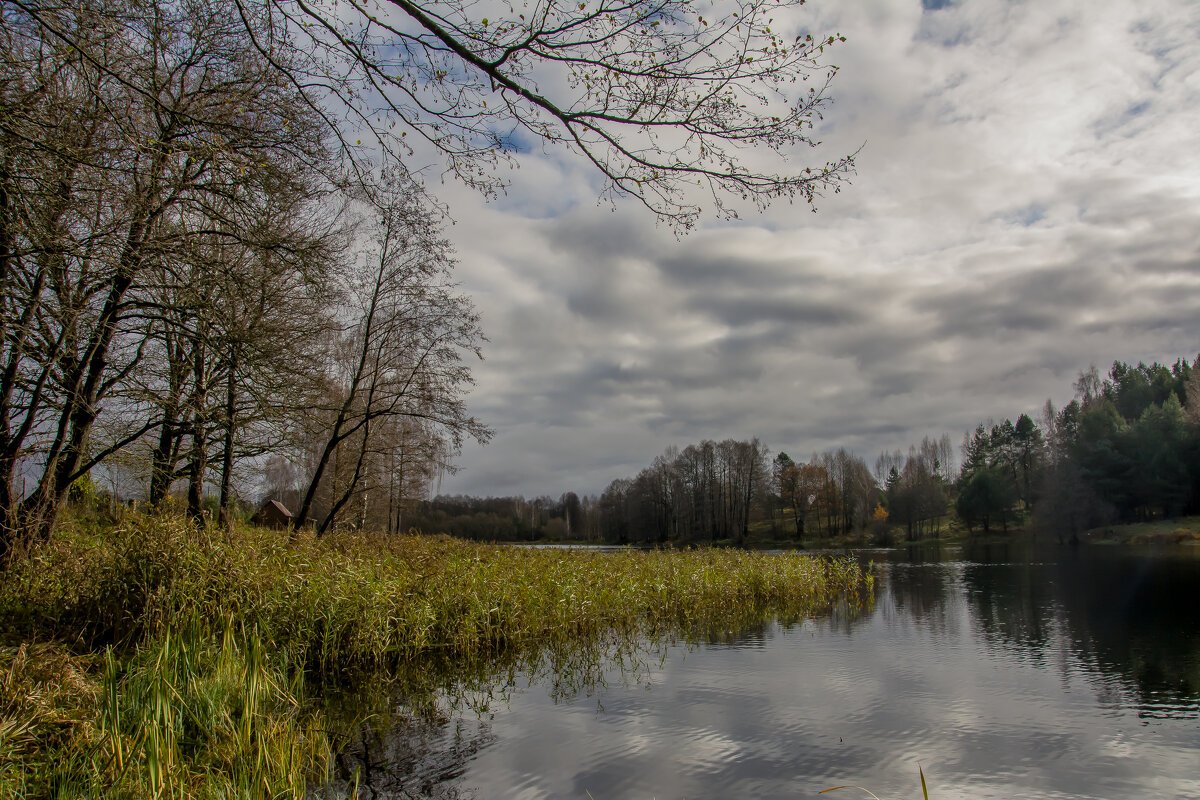 Осень,осень..... - Sergey (Apg) Осень,осень..... - Sergey (Apg)