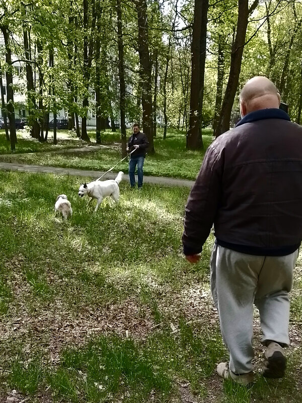 *** - Валентина Береснева *** - Валентина Береснева