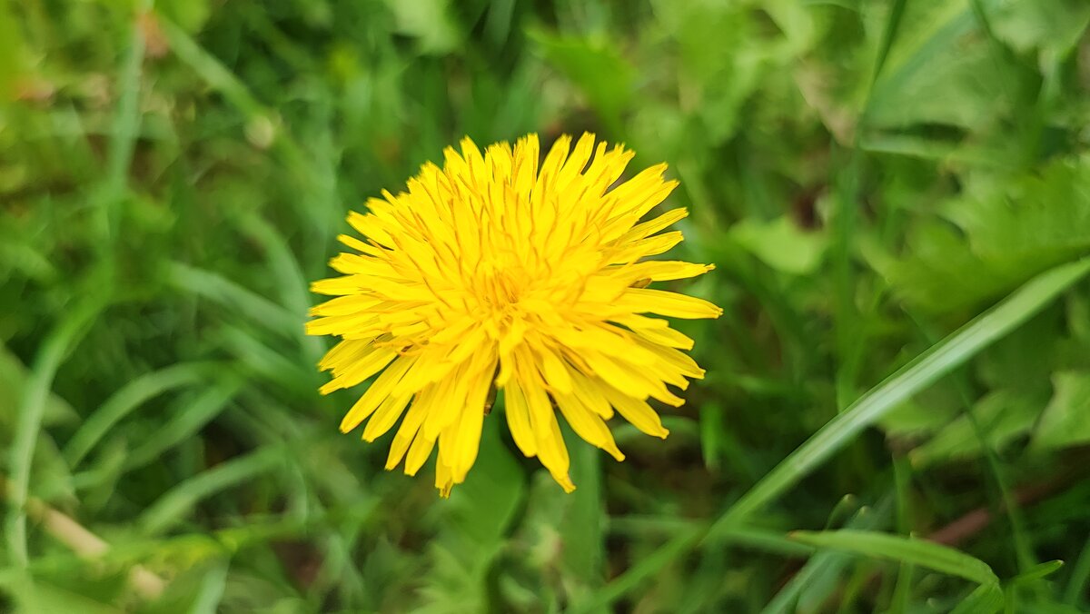 ,,, - Сергей Тимоновский