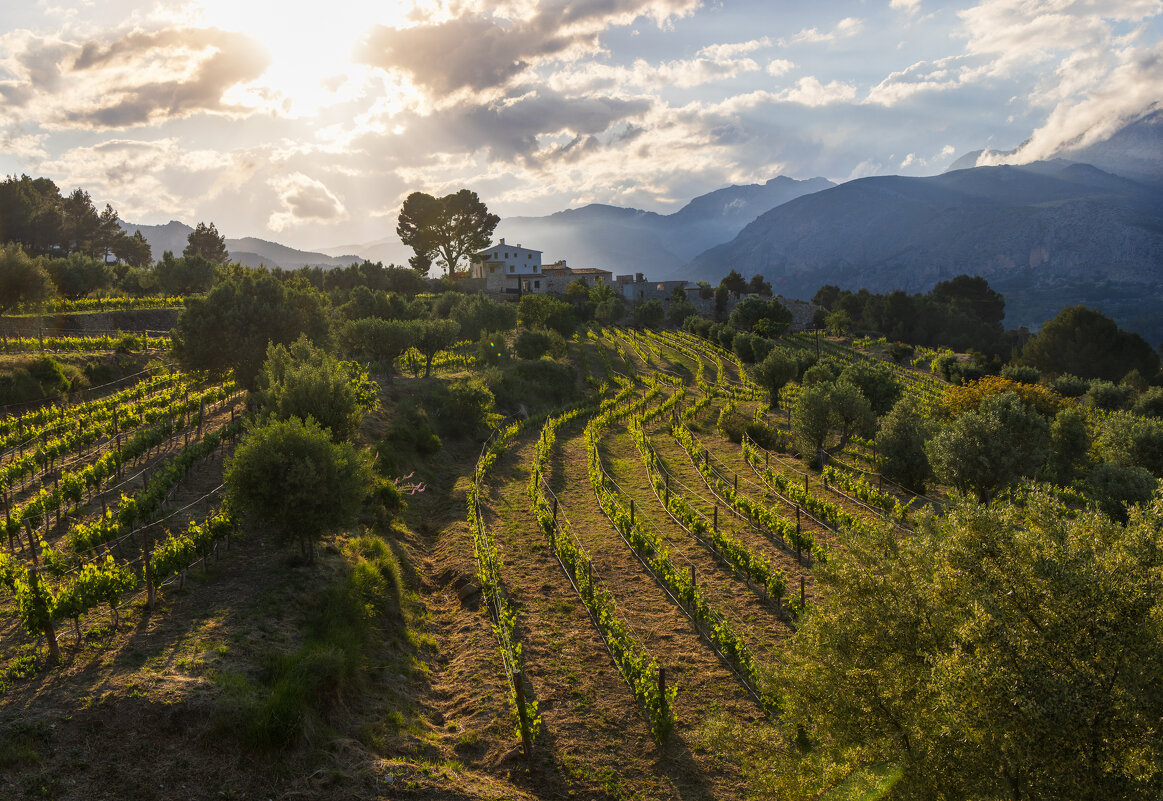 Вечерний пейзаж - Алекс Римский