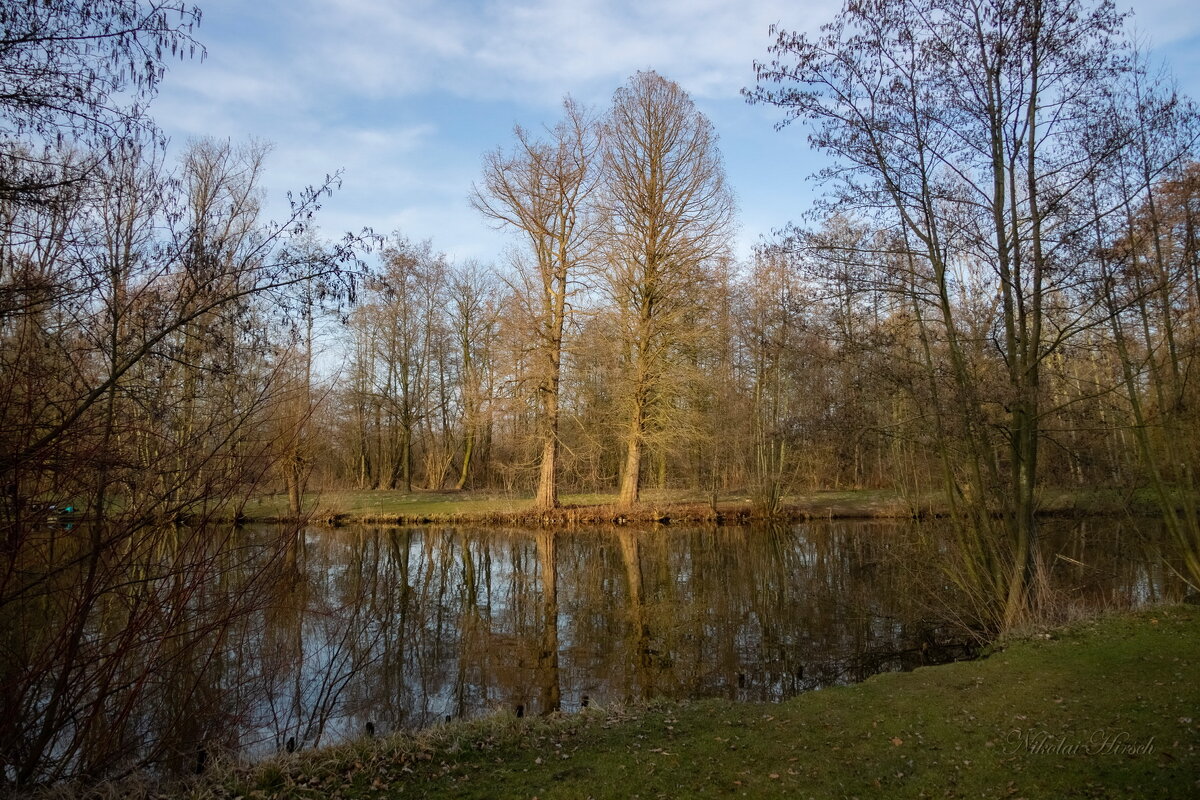 *** - Николай Гирш *** - Николай Гирш