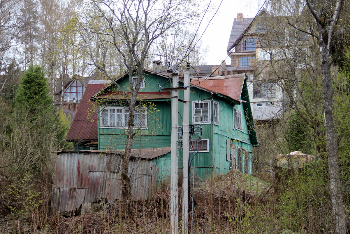 Май. Зеленеет всё кругом) - Елена Минина Май. Зеленеет всё кругом) - Елена Минина