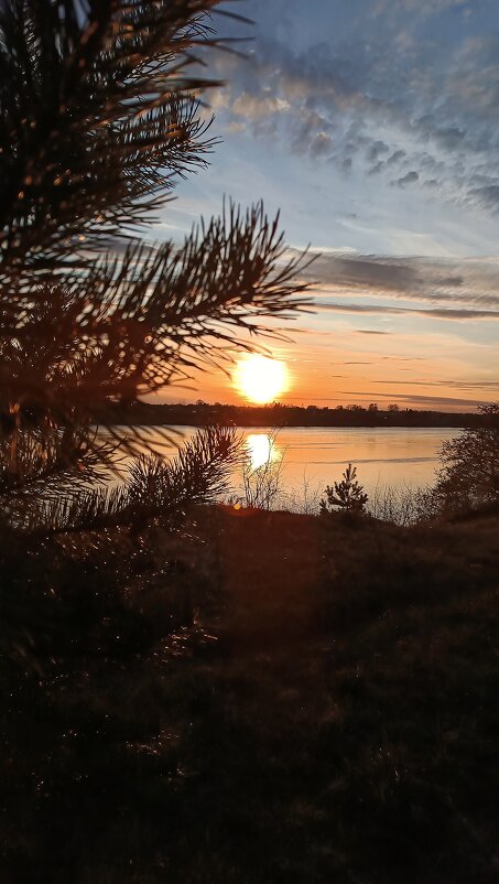 Вечер - Андрей 