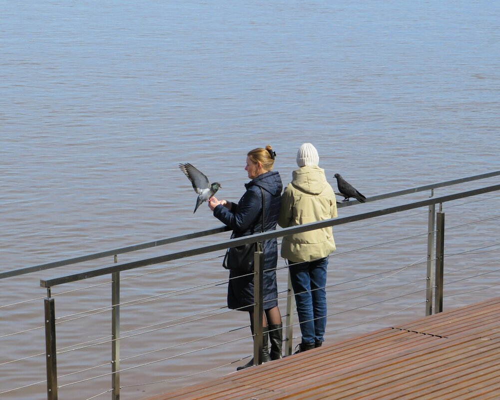 *** - Лариса С.