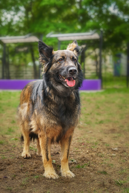 Эша - Alex Bush Эша - Alex Bush