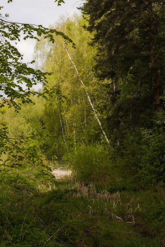 весеннее - Michel 