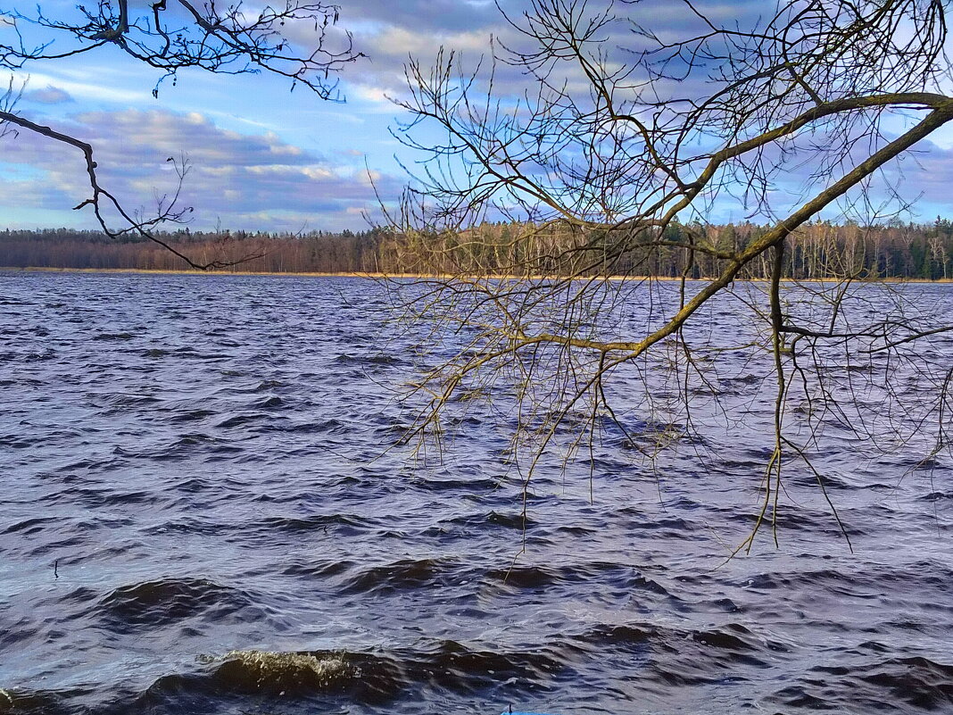 Холодный день в апреле. - Александр Сапунов