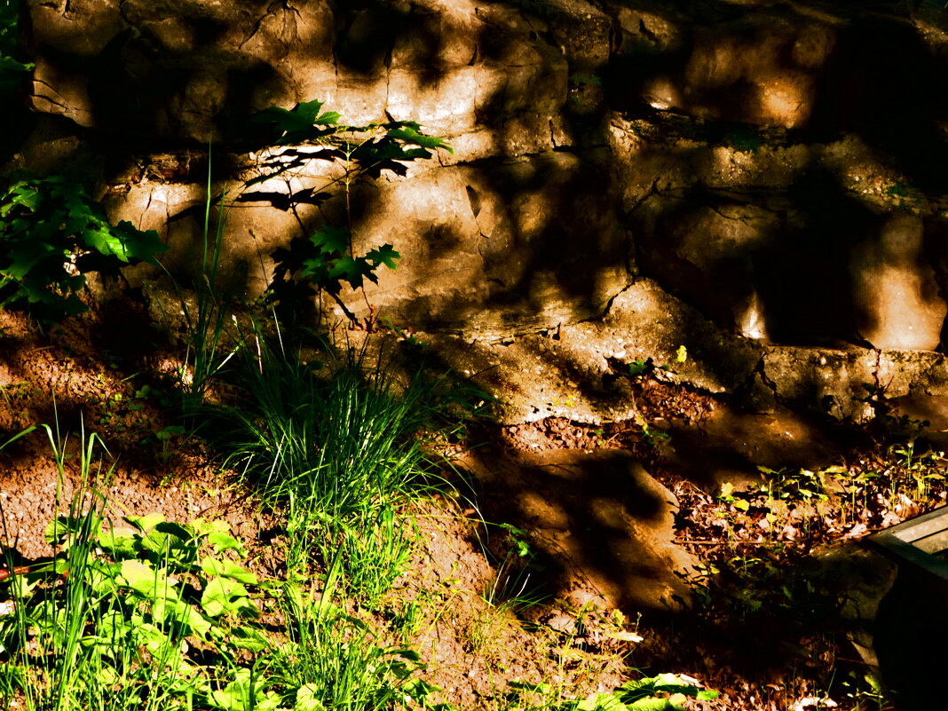 Весенние зарисовки 134 - Алексей Кузнецов