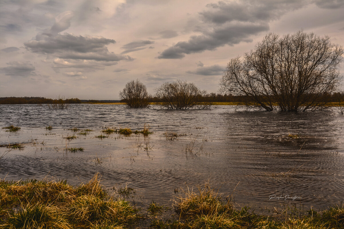 ххххххх - סּﮗRuslan HAIBIKE Sevastyanovסּﮗסּ ххххххх - סּﮗRuslan HAIBIKE Sevastyanovסּﮗסּ