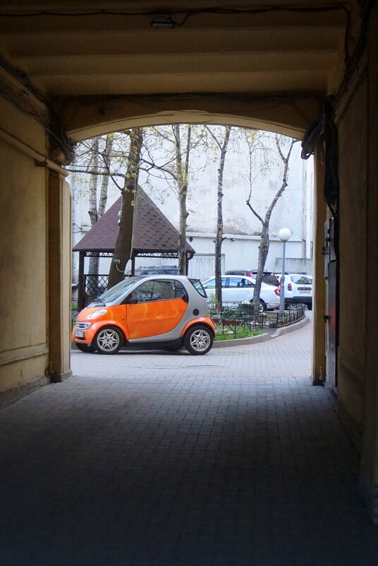 оранжевое настроение - zavitok * оранжевое настроение - zavitok *