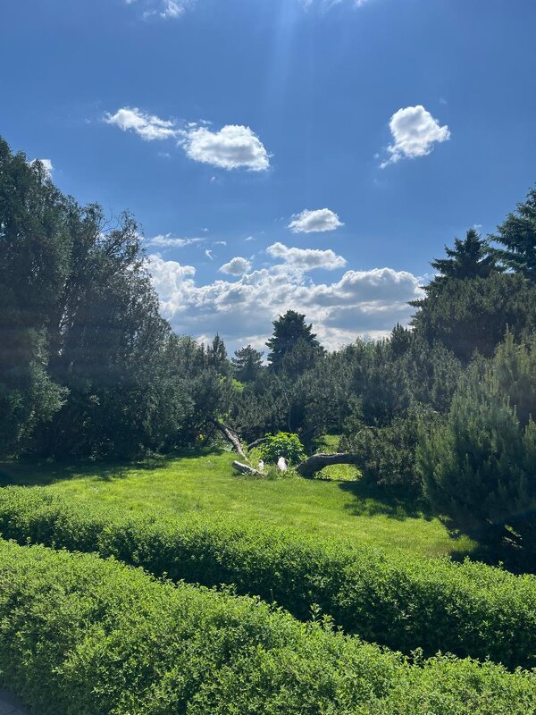 Майский парк - Георгиевич 