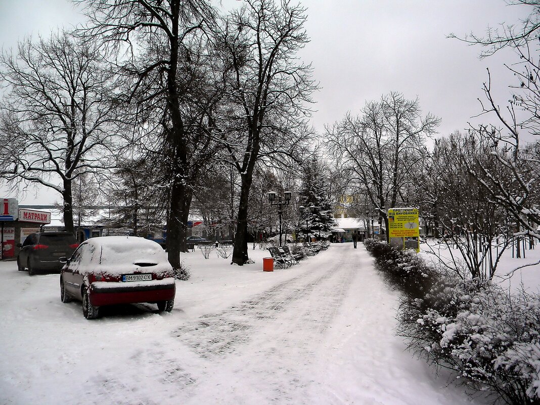 Мой город - Роман Савоцкий