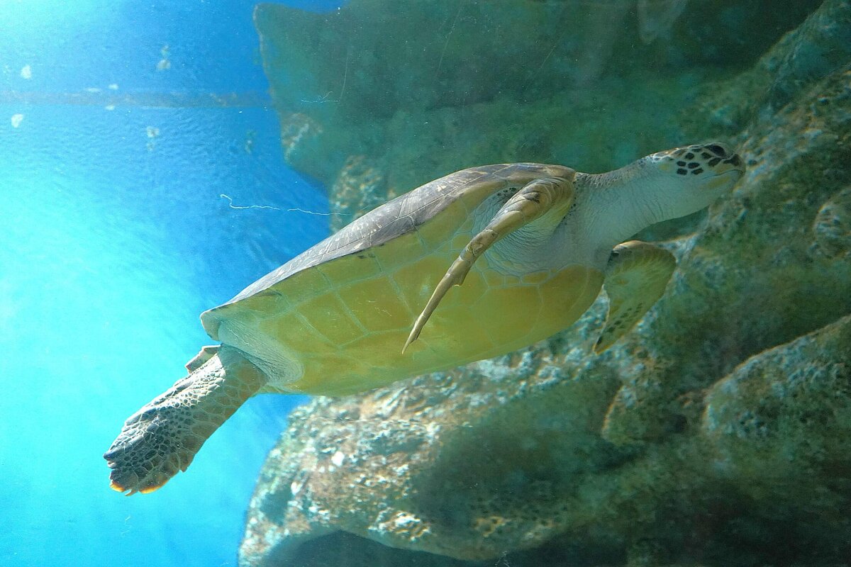 В Москвариуме - Татьяна Тюменка