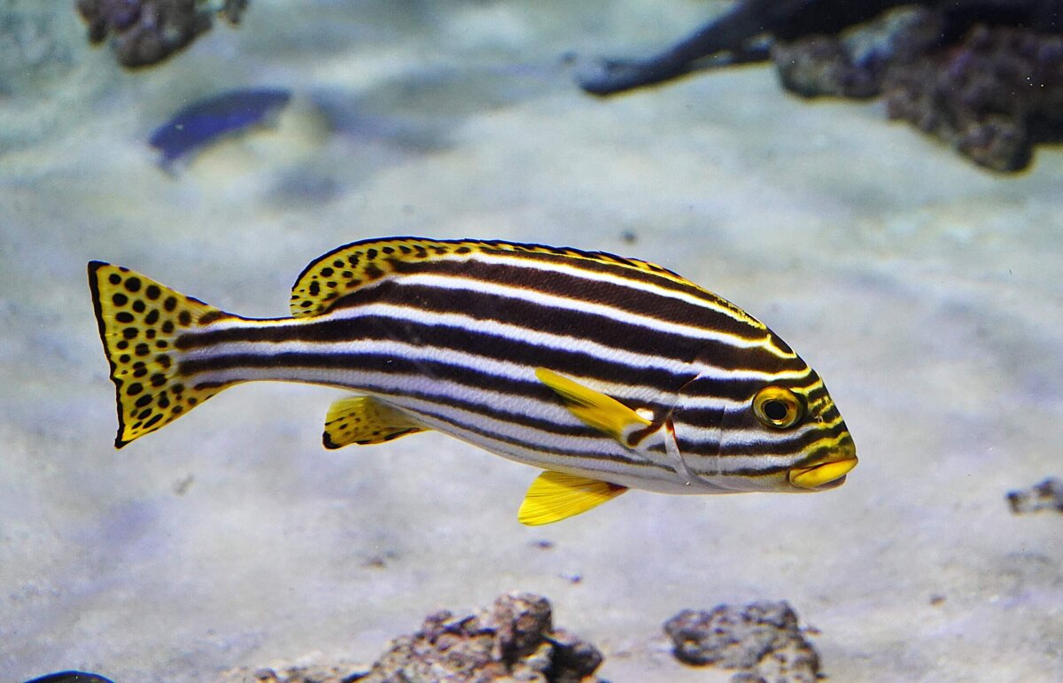 В Москвариуме - Татьяна Тюменка