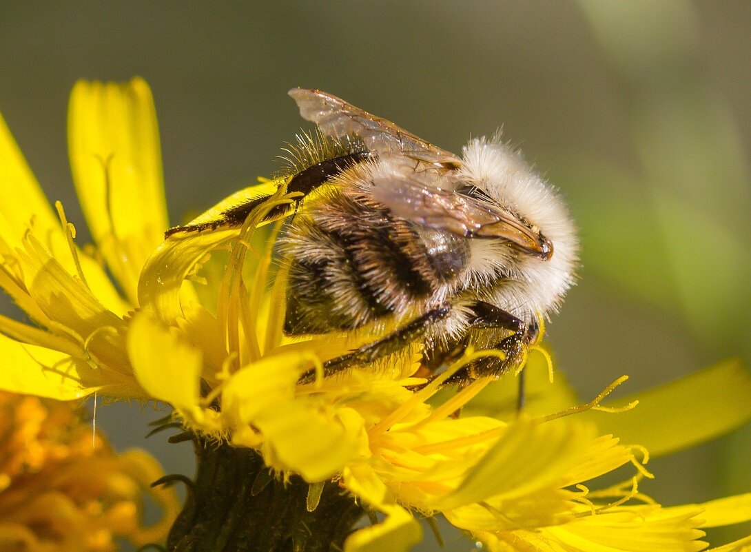 Краски лета. - Алексей Трухин