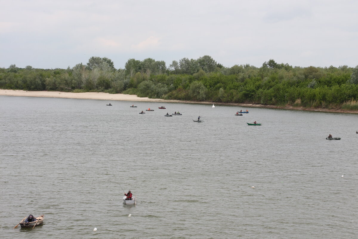 Пошла по Дону селедка - Сергей 