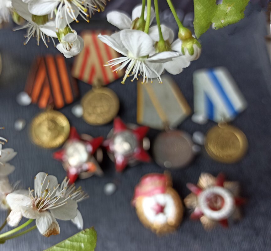 Будем помнить! - veilins veilins Будем помнить! - veilins veilins