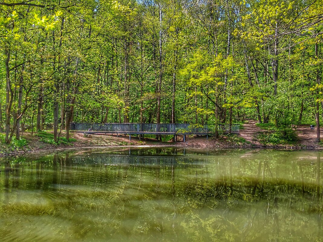 майский лес - Валентина. .