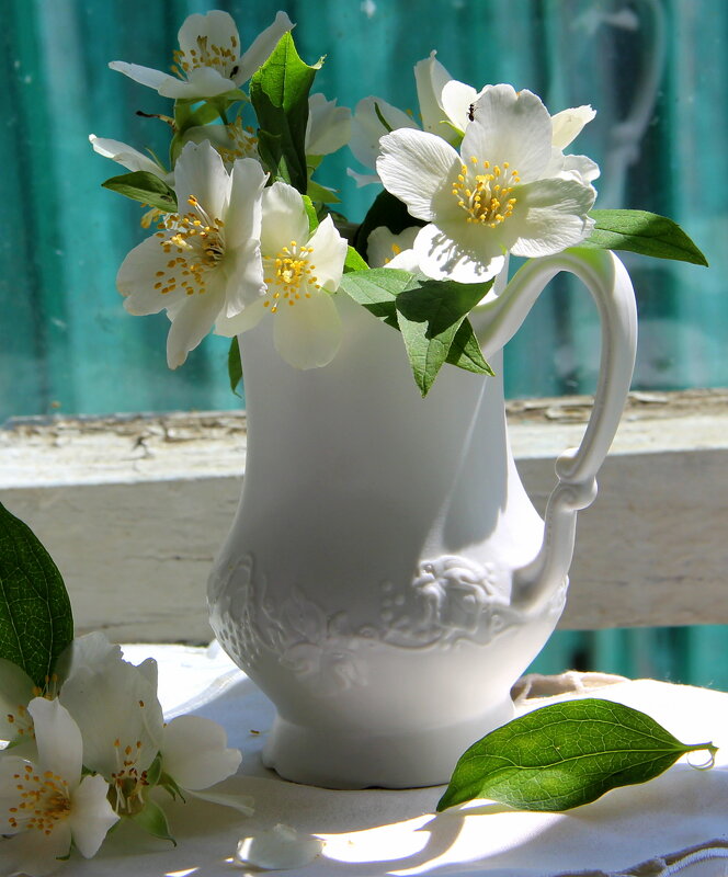 Натюрморт. - жанна нечаева