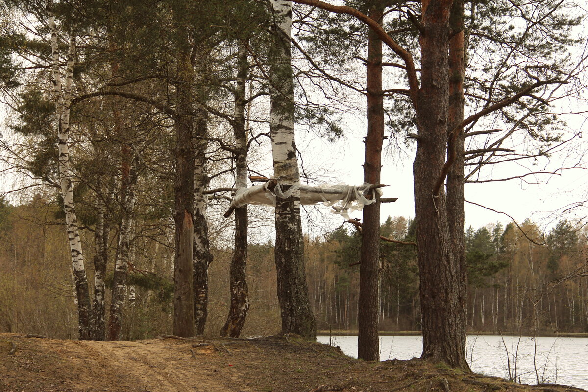 Навес истерзанный ветрами - Елена Минина Навес истерзанный ветрами - Елена Минина