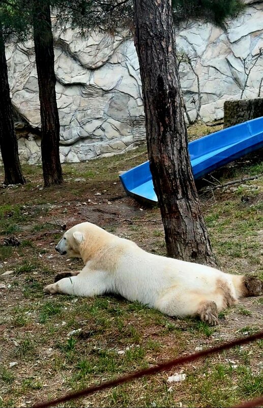 Геленджик: здесь климат иной... - Сергей Б. Геленджик: здесь климат иной... - Сергей Б.