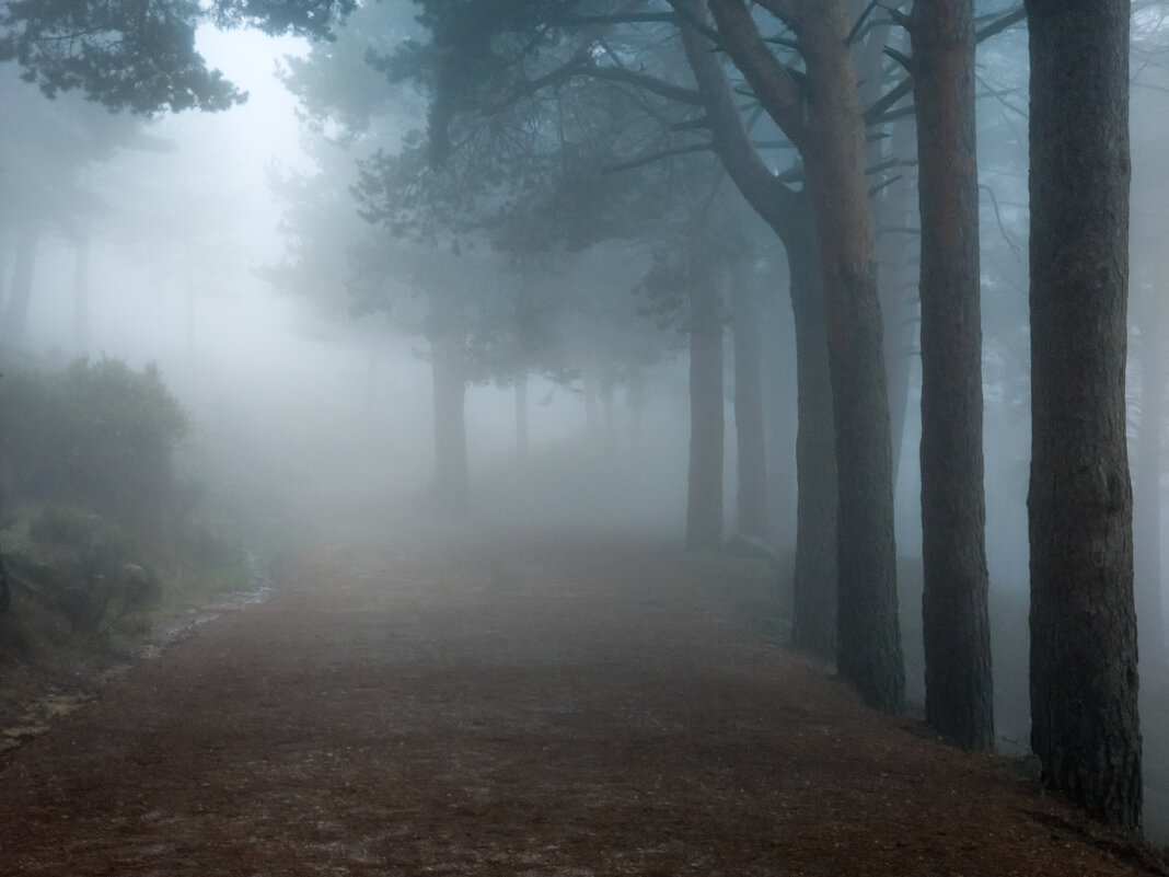 Туман - Валерий Т