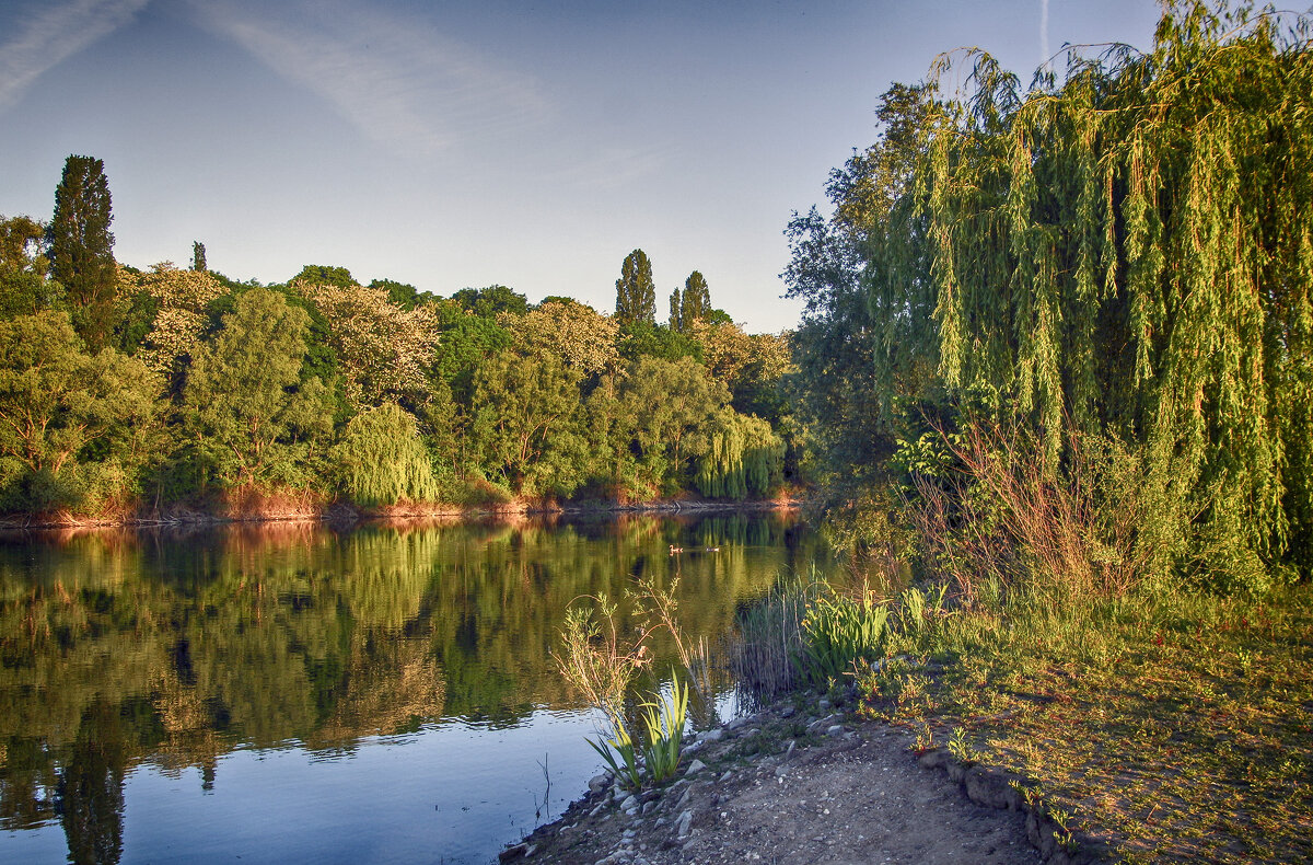***** - Андроник Александр ***** - Андроник Александр