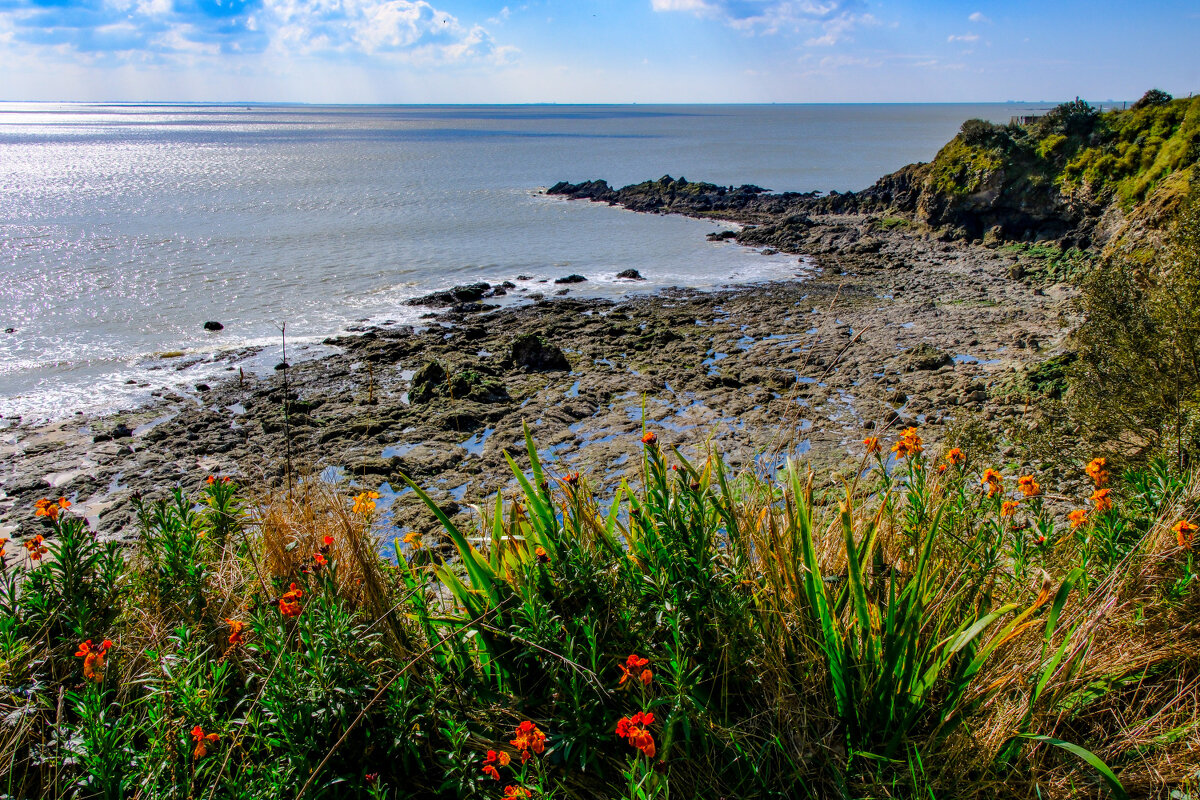 Отлив на скальном Атлантическом берегу - Георгий А