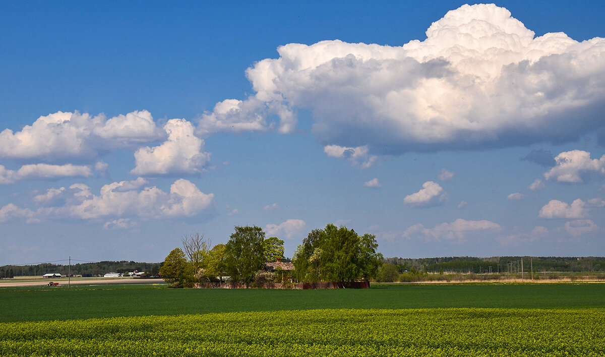 Самое время гулять и радоваться жизни! - Alexandеr P