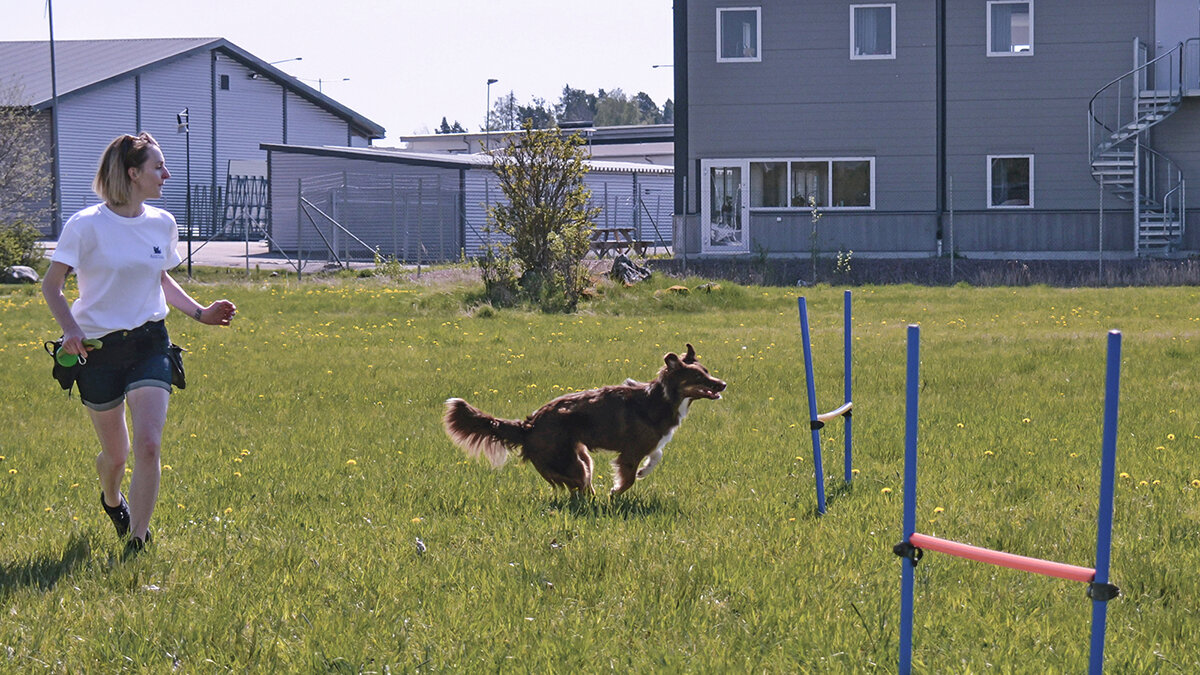 Апорт! - Alexandеr P