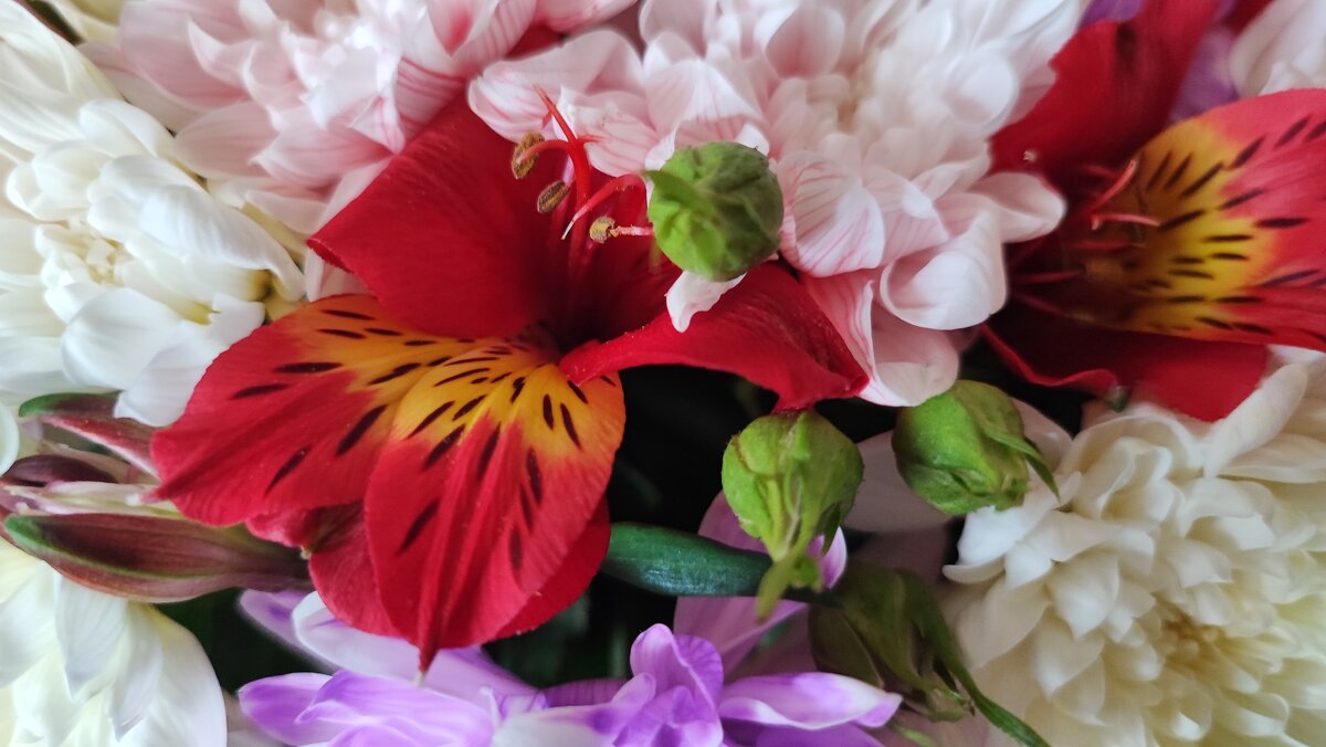 ... - Сергей Тимоновский ... - Сергей Тимоновский