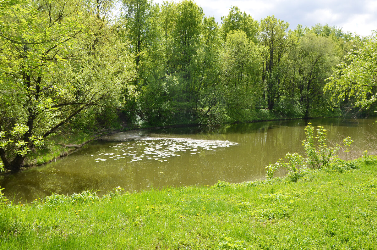 Москва. Царская усадьба Измайлово, XVII в. - Наташа *****