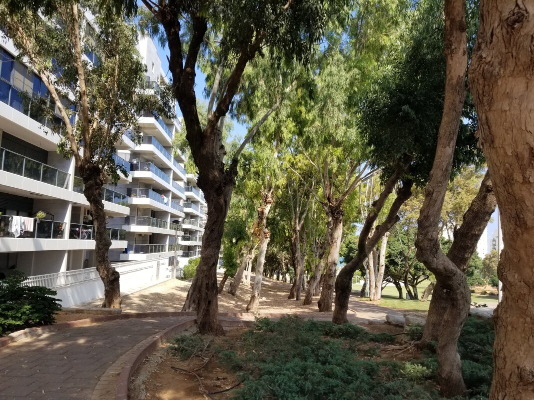 " - Светлана Хращевская " - Светлана Хращевская