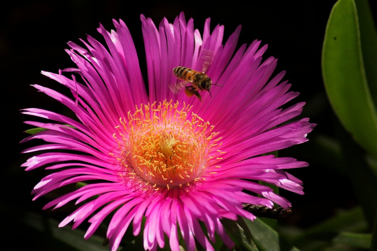 Заманчивый - Юрий. Шмаков Заманчивый - Юрий. Шмаков