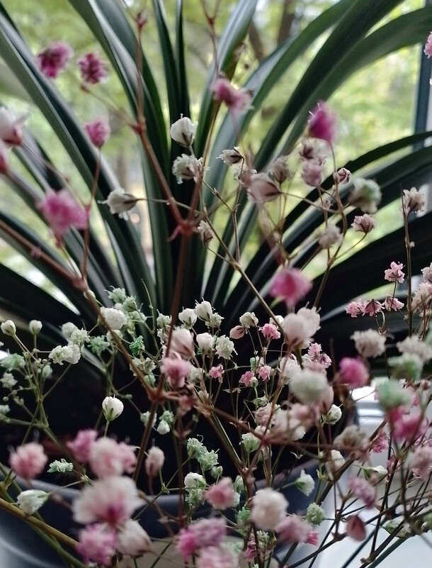 *** - Валентина Береснева