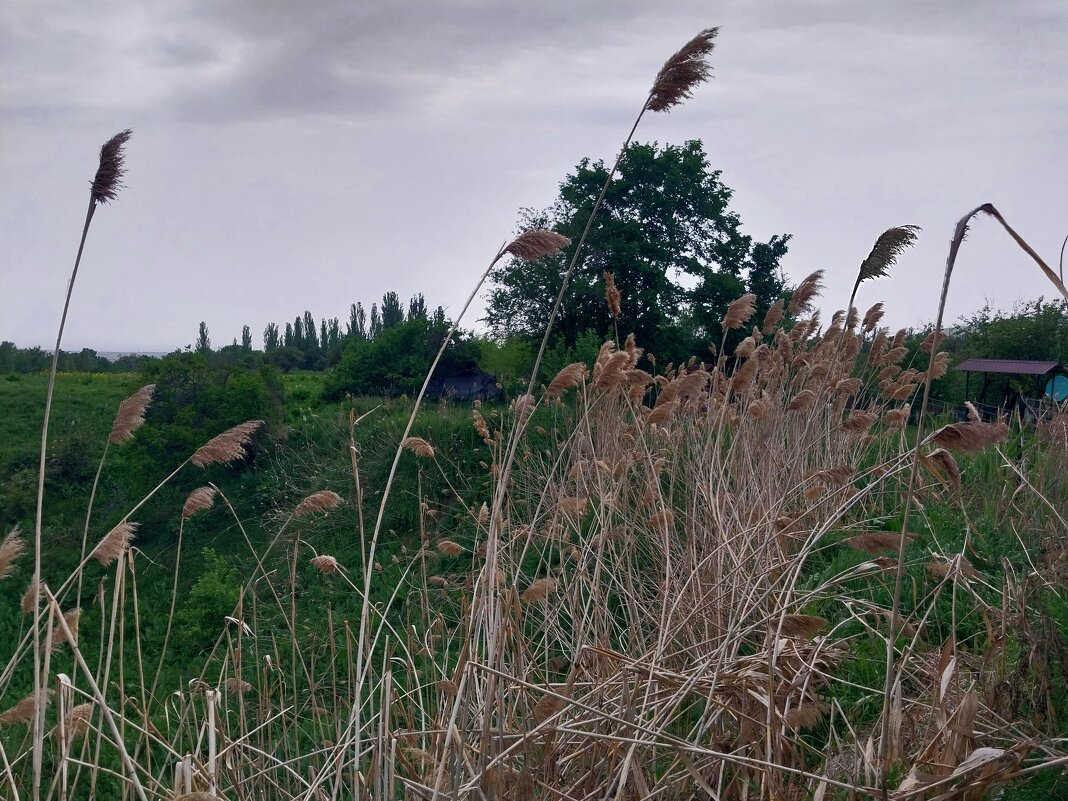 Talgar. - Murat Bukaev 