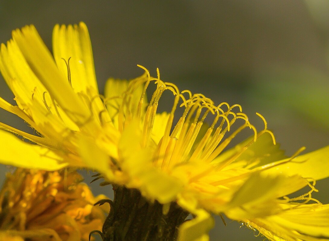 Краски лета. - Алексей Трухин Краски лета. - Алексей Трухин