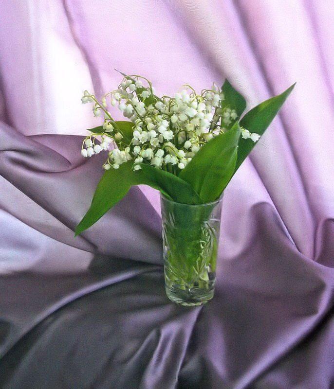 Мая привет - Галина Шеина-Мюльдорфер Мая привет - Галина Шеина-Мюльдорфер