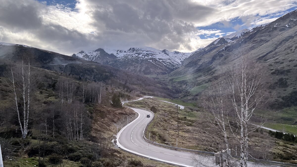 Мир Природы / Natural World - Мир, Природы, Natural, World - "The Natural World" Александер Мир Природы / Natural World - Мир, Природы, Natural, World - "The Natural World" Александер