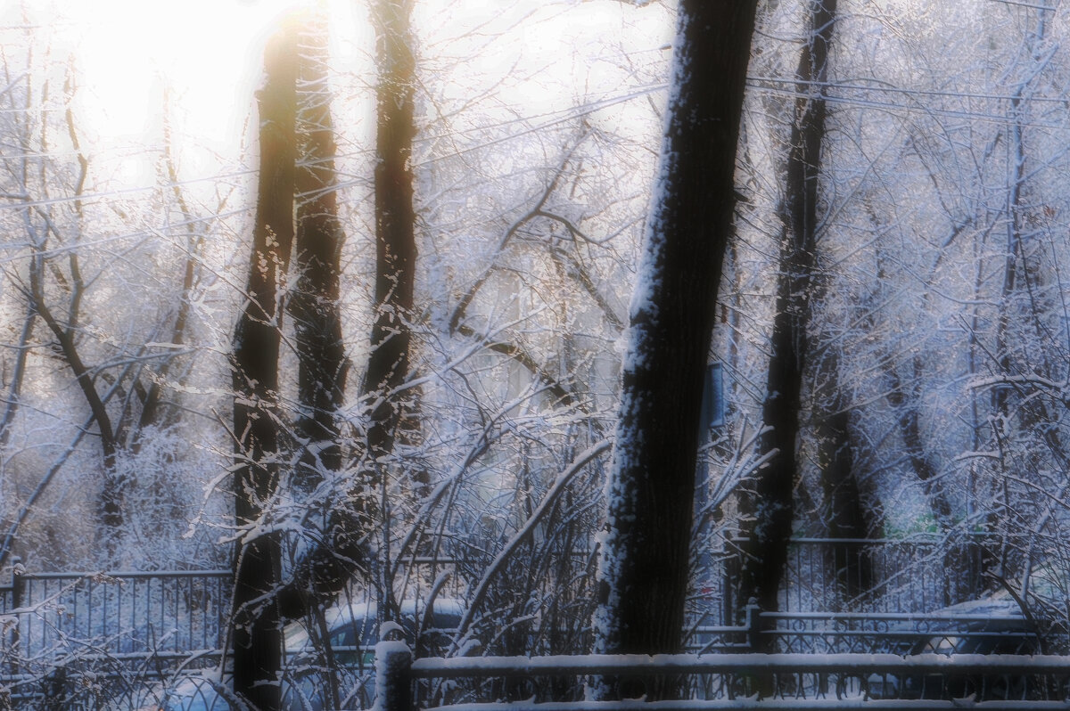 Снежное утро - Сергей Сергеев