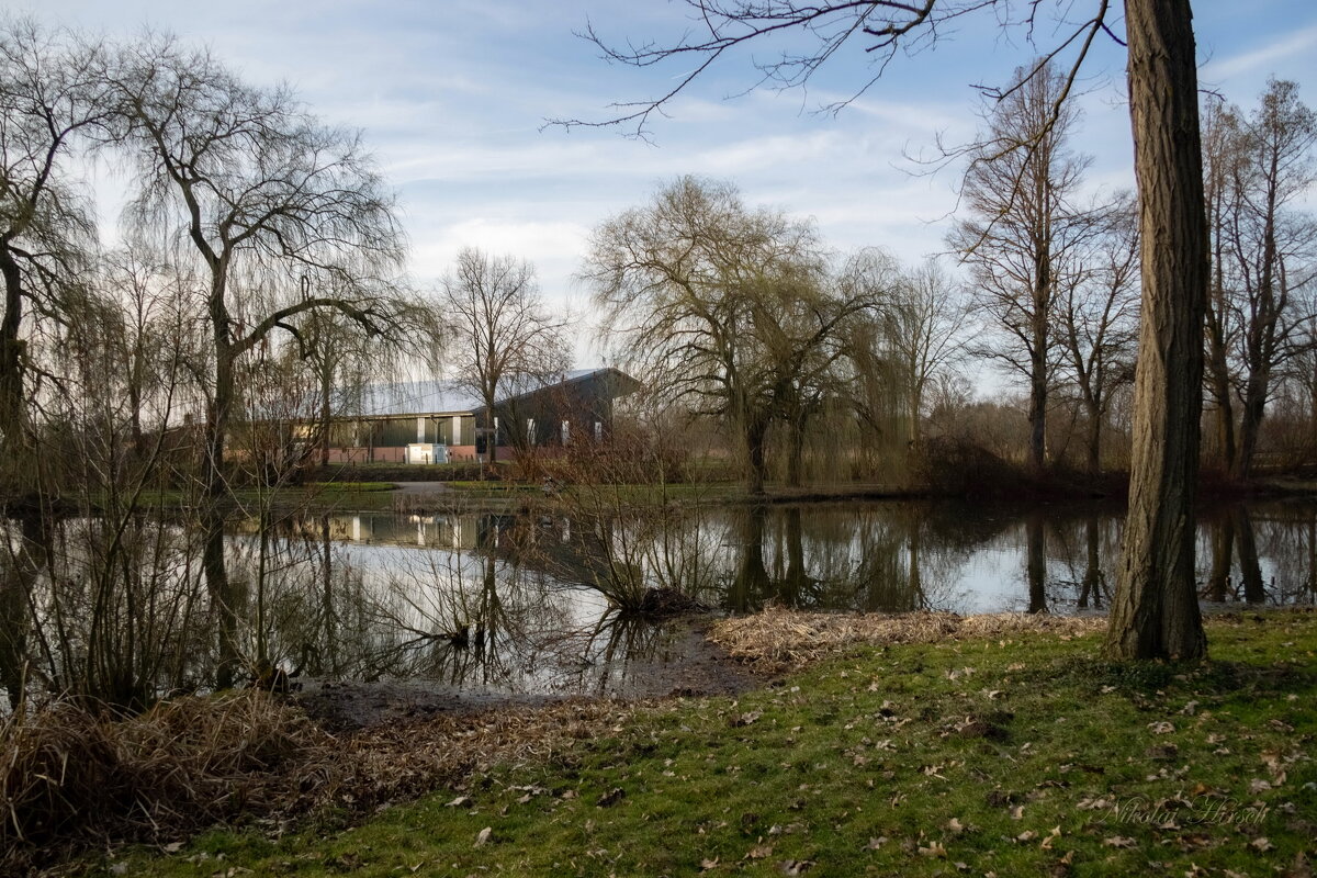 Мартовский пруд... - Николай Гирш Мартовский пруд... - Николай Гирш