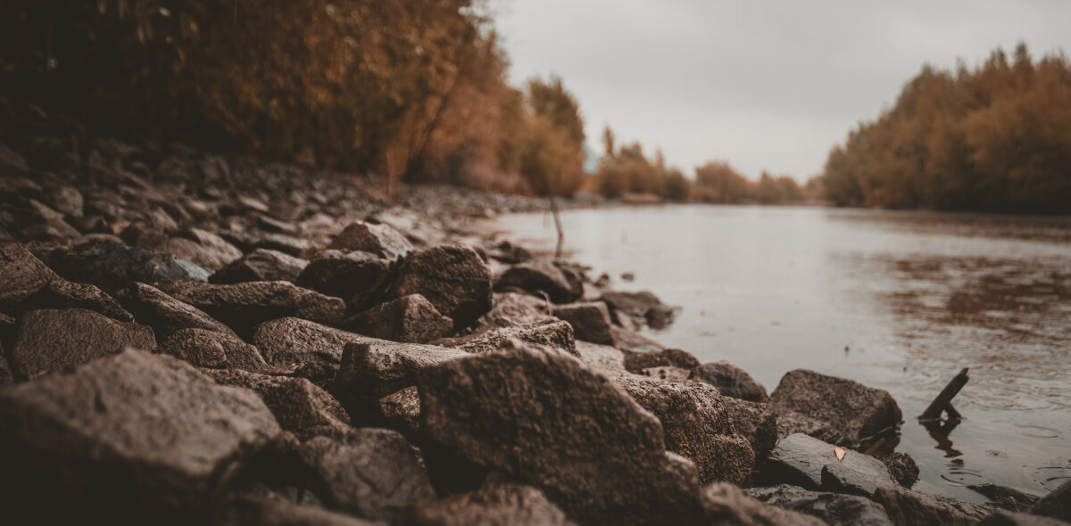 Тихий берег - Ярослав Теплов Тихий берег - Ярослав Теплов