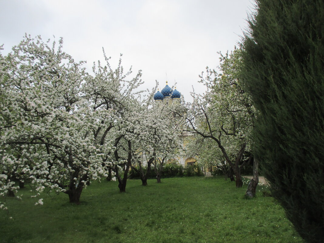 Коломенское. Май - Маера Урусова Коломенское. Май - Маера Урусова